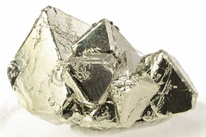 Sphalerite on Gleaming Octahedral Pyrite Crystals - Peru #371201